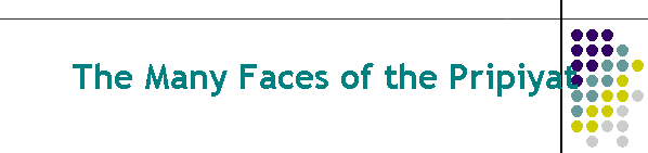 The Many Faces of the Pripiyat