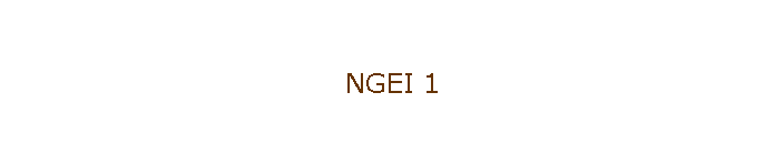 NGEI 1