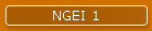 NGEI 1