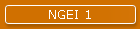 NGEI 1